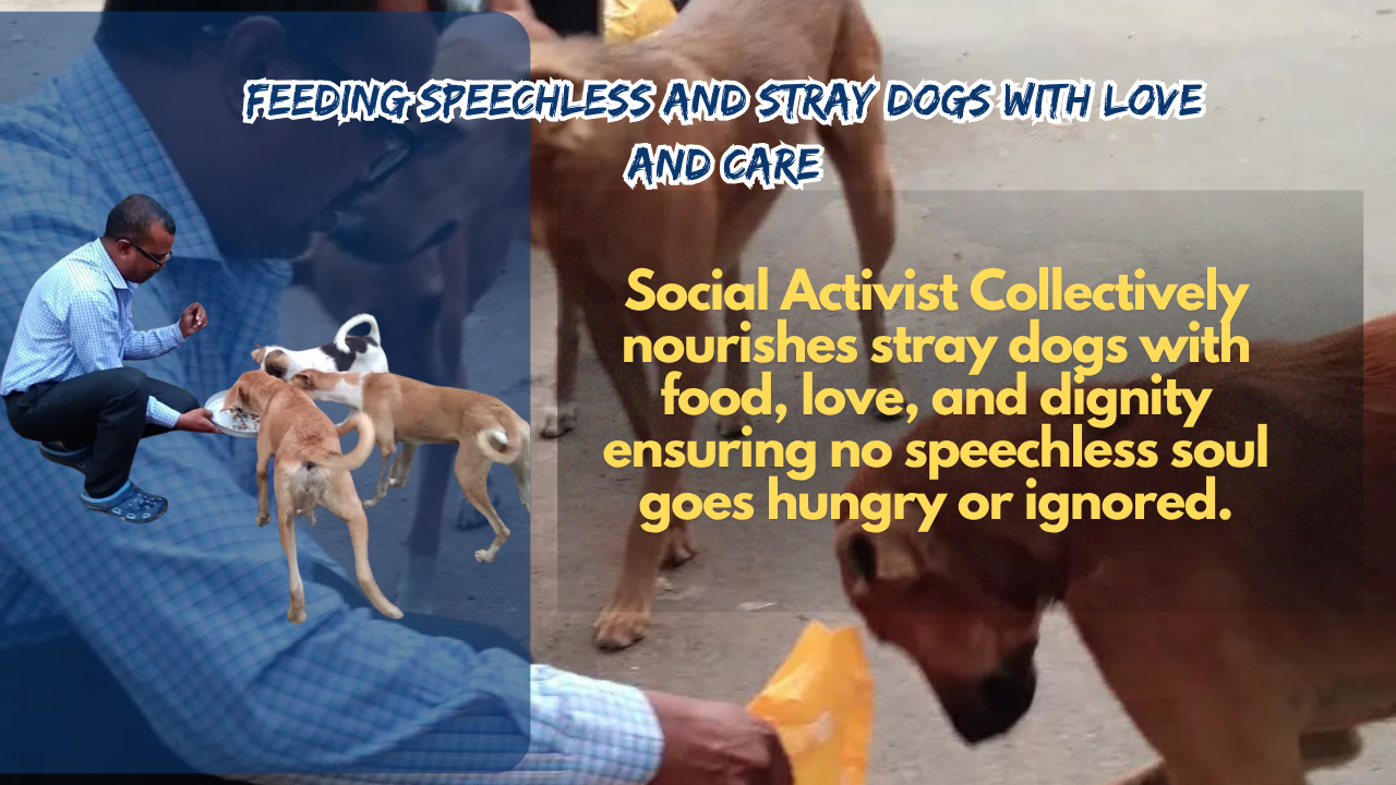 Feeding Speechless and Stray Dogs With Love and Care